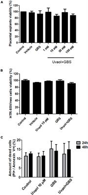 Uvaol Prevents Group B Streptococcus-Induced Trophoblast Cells Inflammation and Possible Endothelial Dysfunction